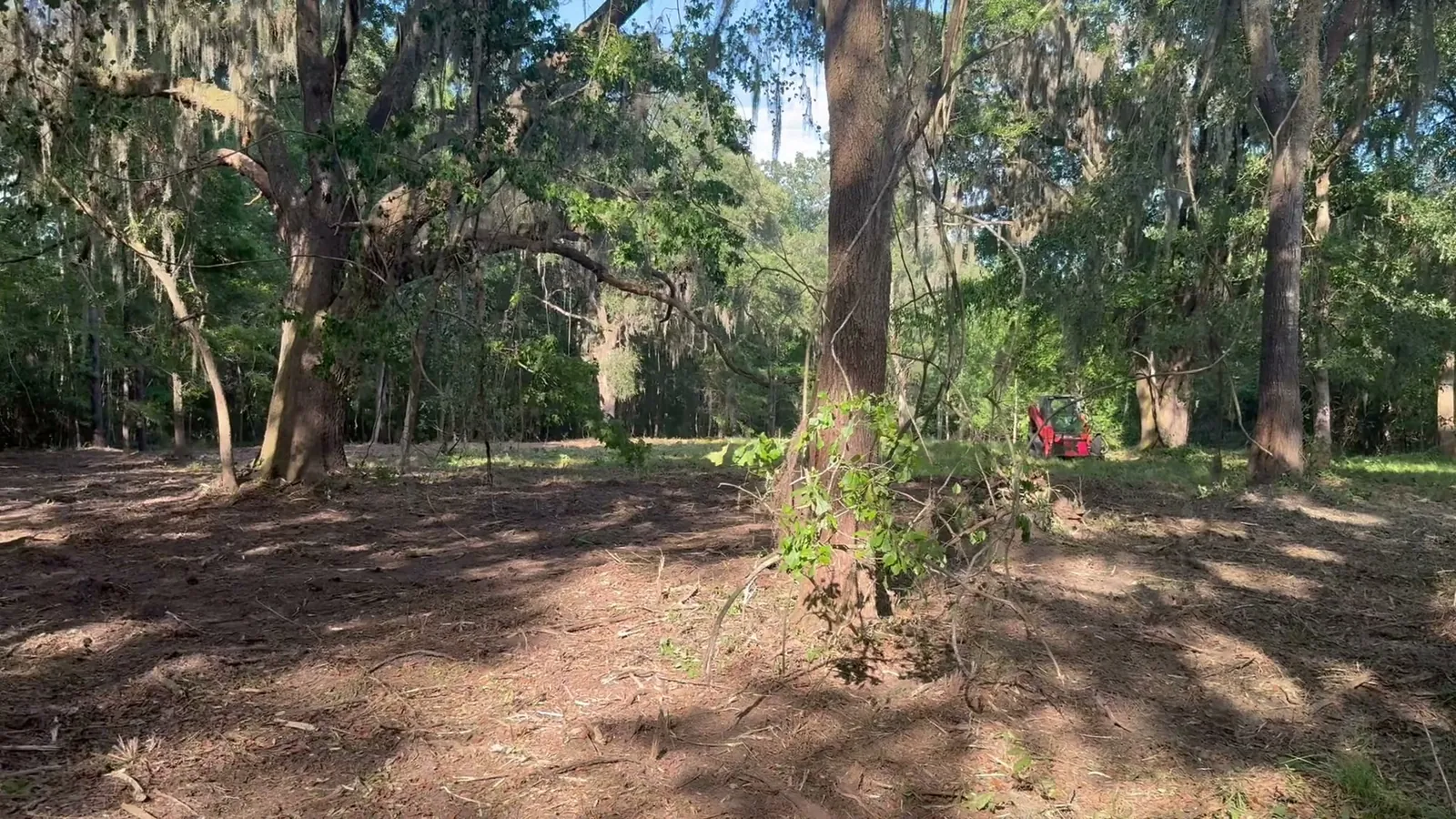 Forestry Mulching in Port Royal, SC