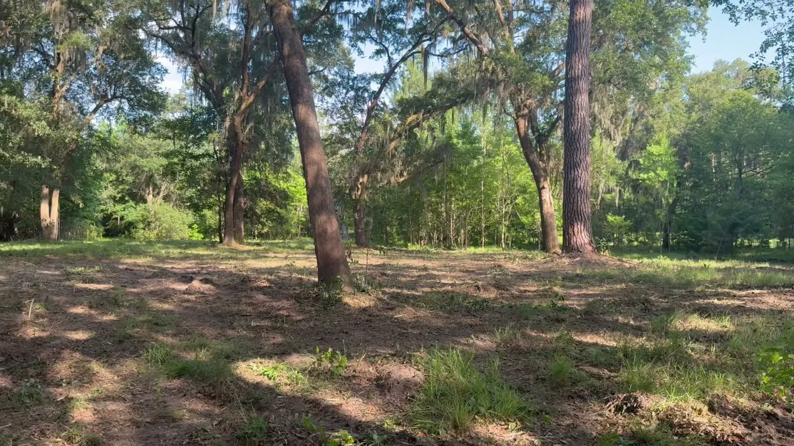 Land Clearing in Hilton Head Island, SC
