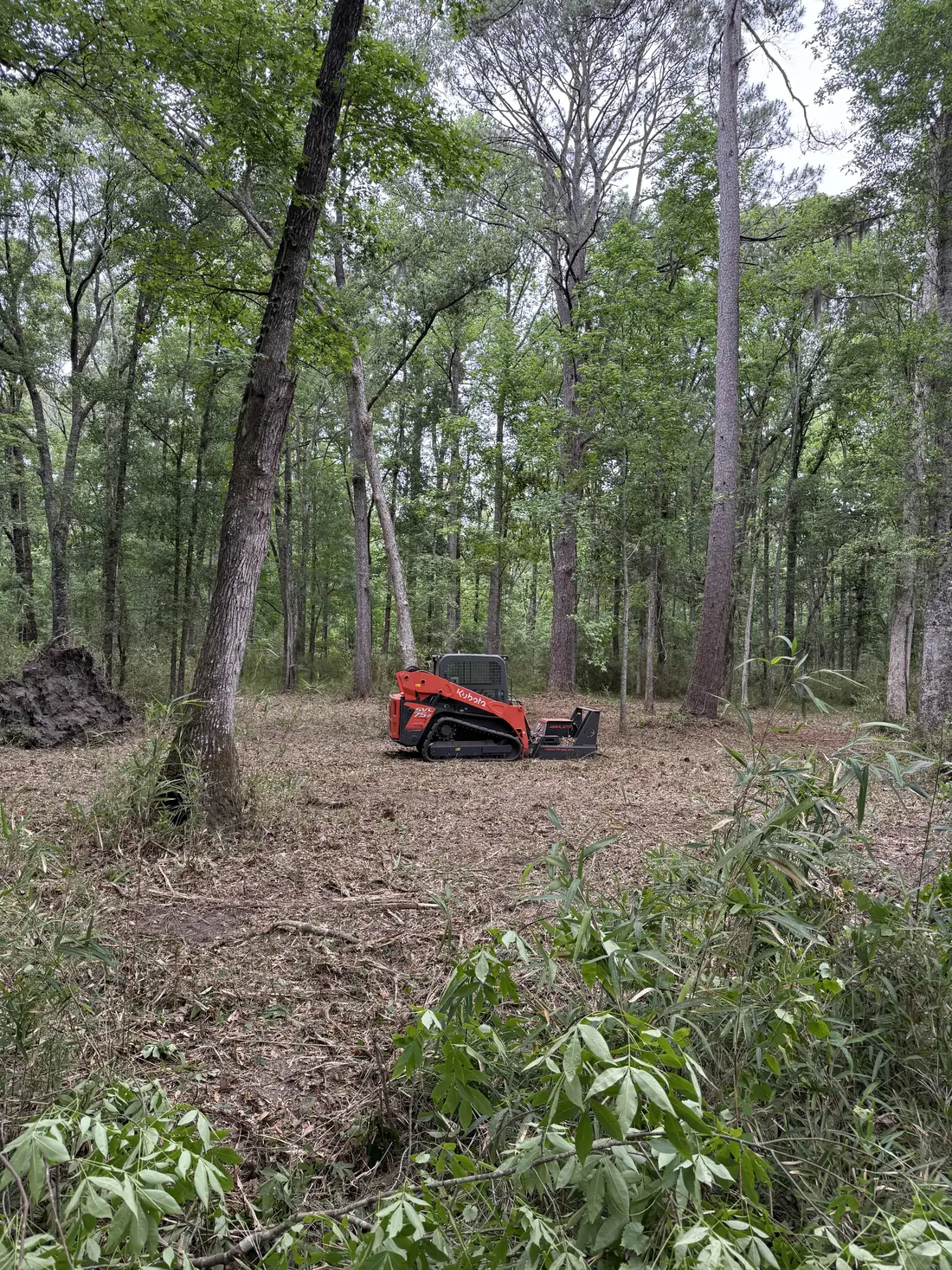 Our tracked mulcher grinding underbrush between pines