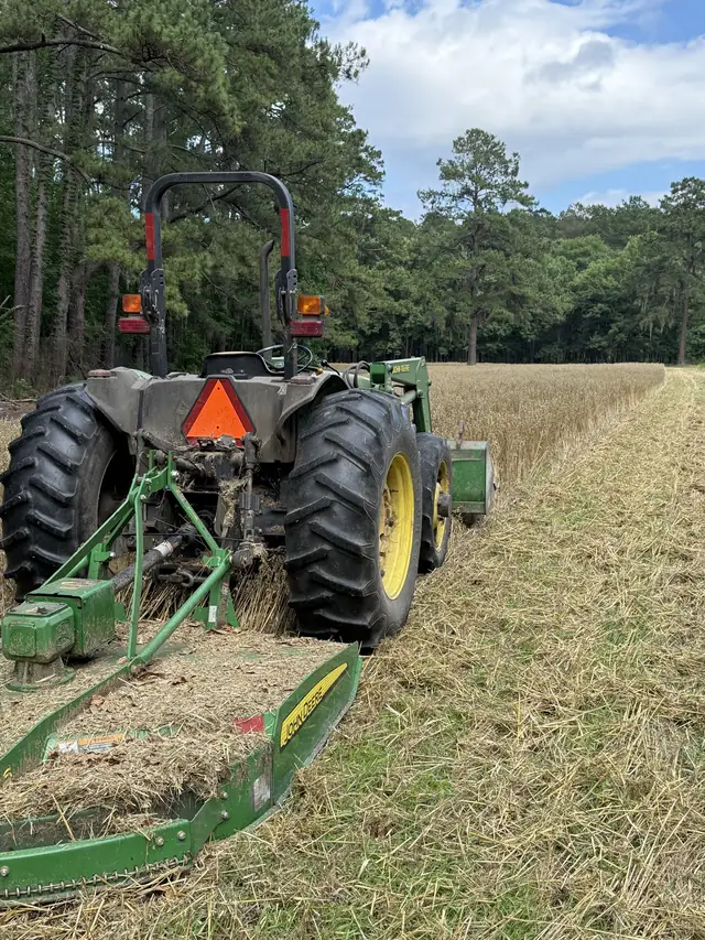 Brush Hogging in Charleston, SC